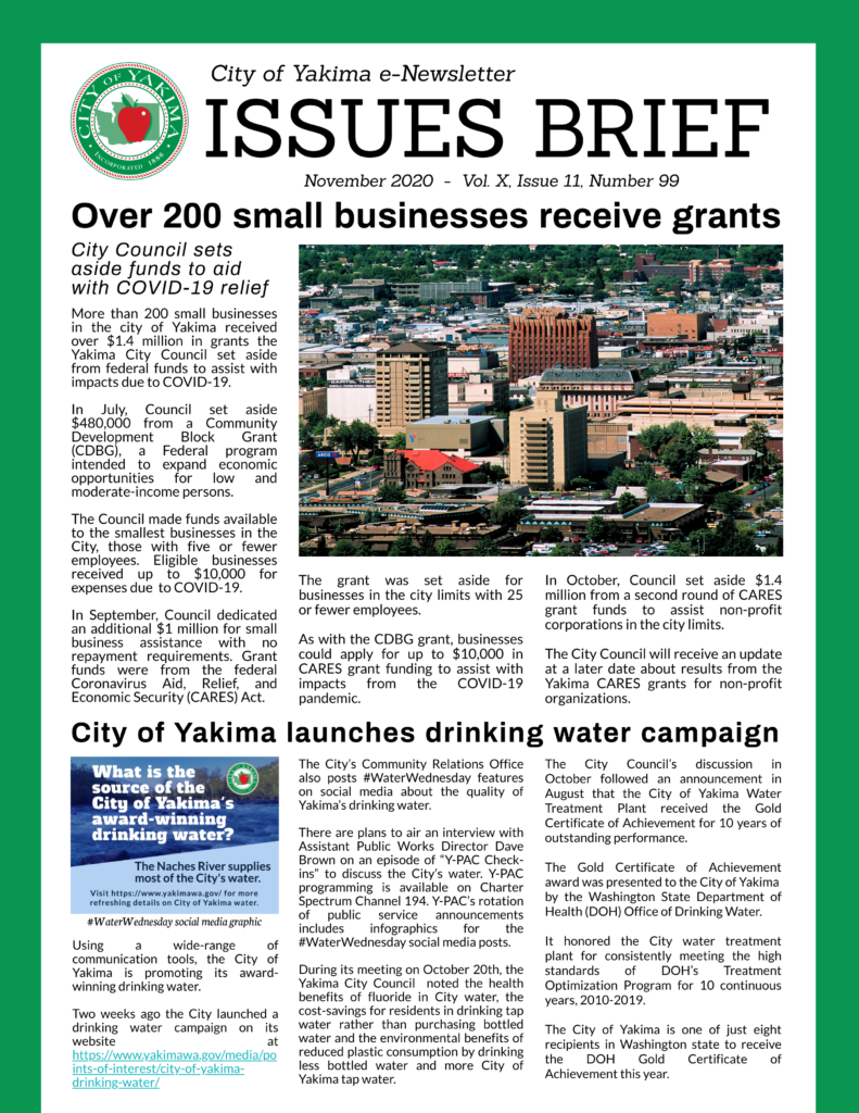 Nov 2020 Issues Brief Page 1