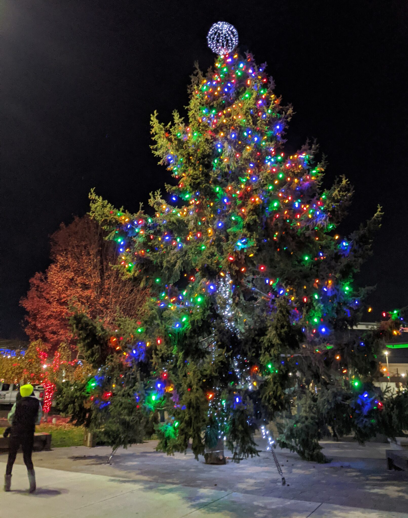 Community Christmas Tree Sought for Downtown Yakima News City of Yakima