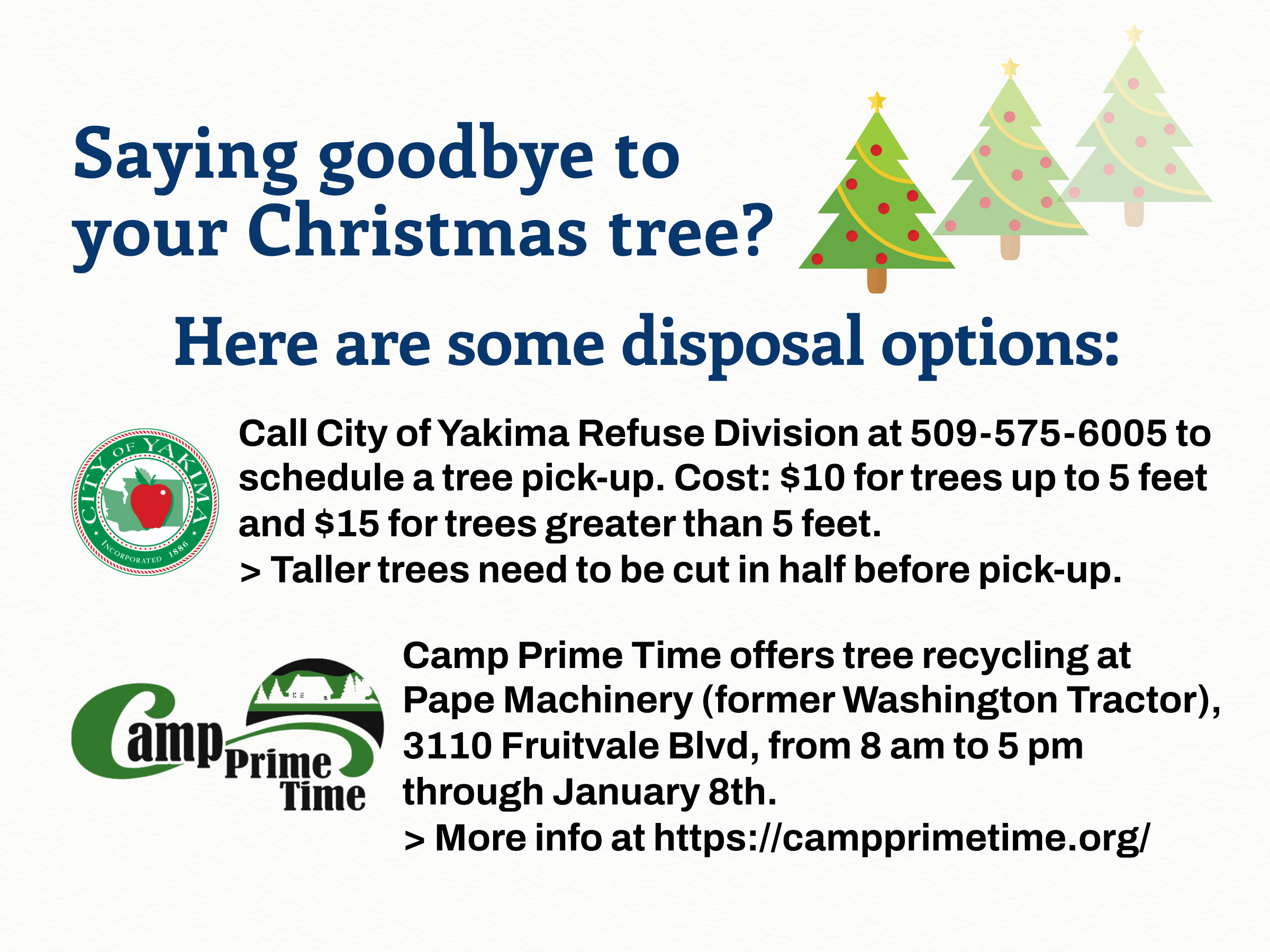 Options Available for Christmas Tree Disposal