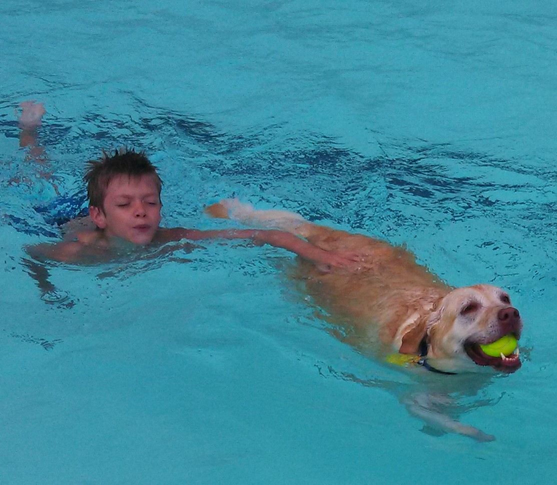 Paws swimming new arrivals
