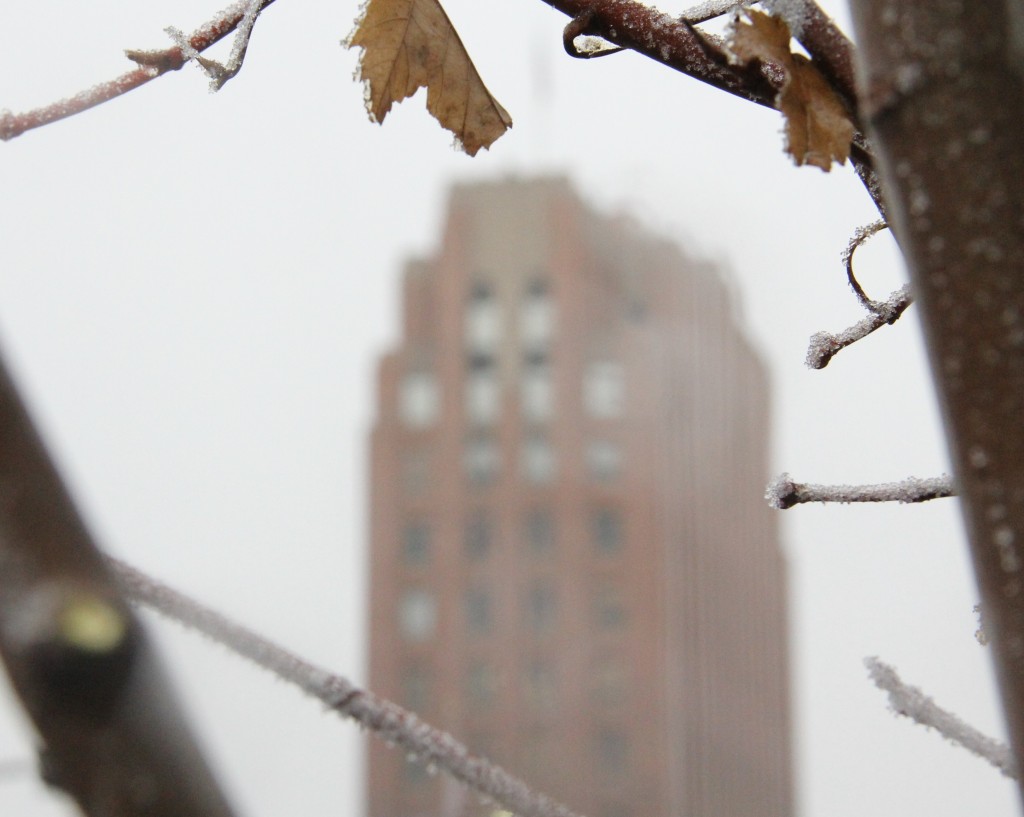 Fog and frost encase the Larson Building and surrounding trees as winter weather sets in on Yakima.