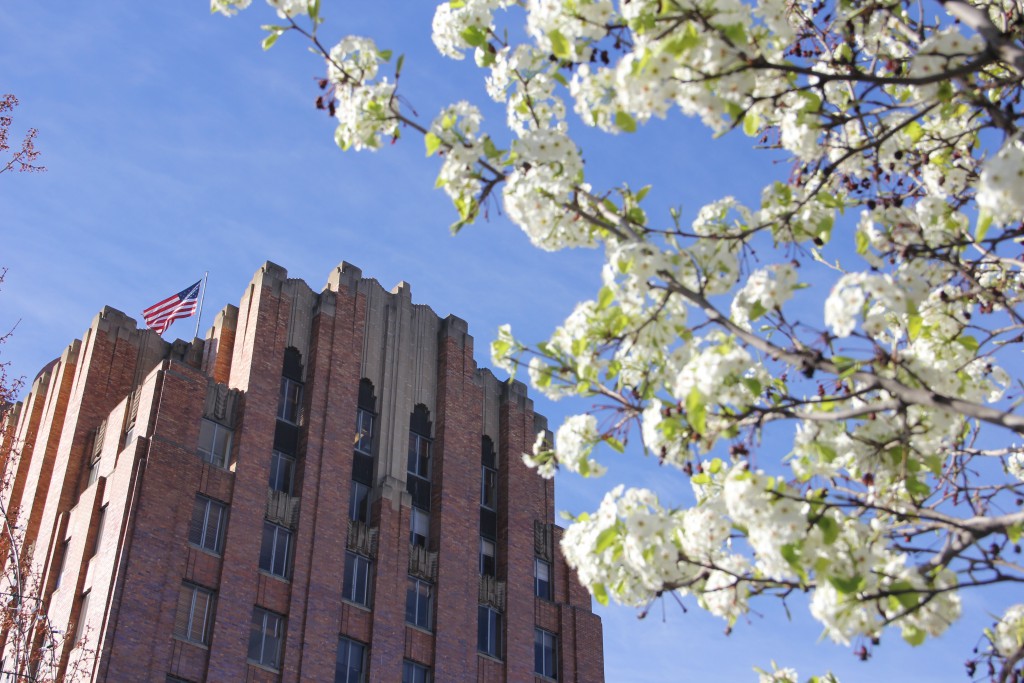 mild weather over the last few months has begun the spring bloom in Downtown Yakima and around the Yakima Valley.