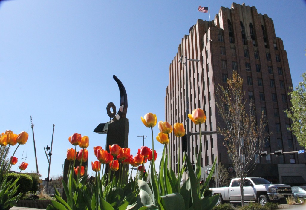 Tulips have popped up in several planters and gardens around town showing Yakima that spring has arrived.