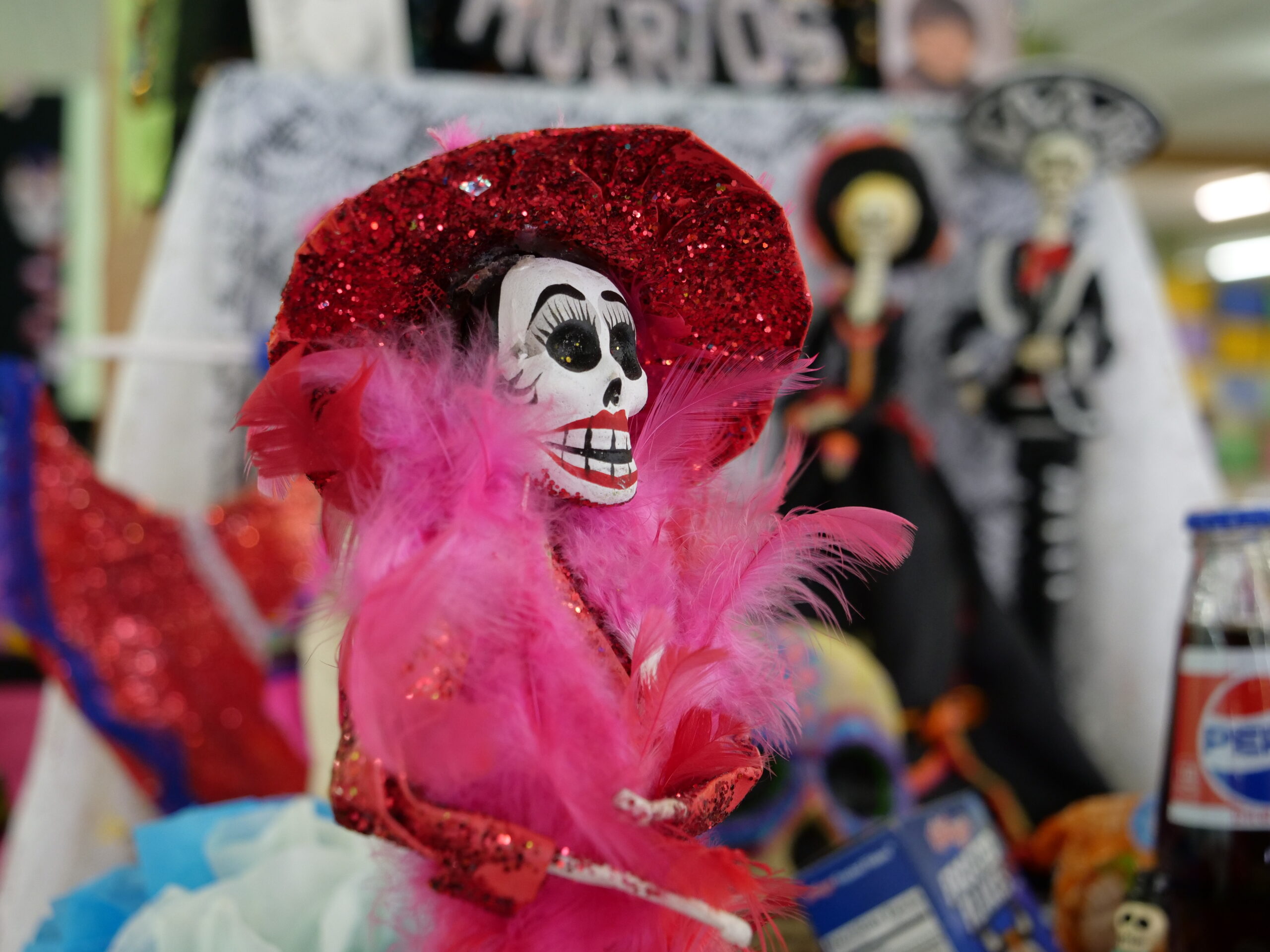 Photo of the Week - Dia De Los Muertos Exhibit 2021 | Photo of the Week