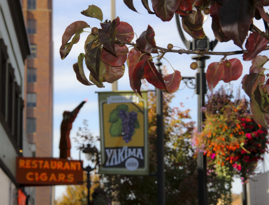 Yakima is a showcase of colors this time of year with fall foliage and flower baskets painting Yakima’s main thoroughfare. 