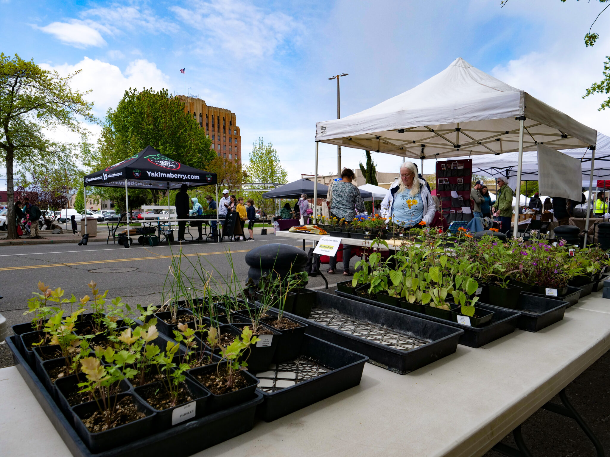 Photo of the Week - Farmers Market Opens | Photo of the Week
