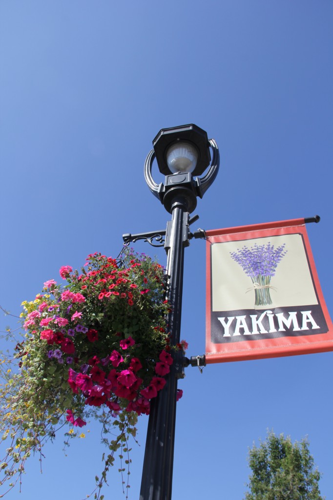 Light poles along Yakima Avenue are full of color with the return of flower baskets and new banners to Downtown.