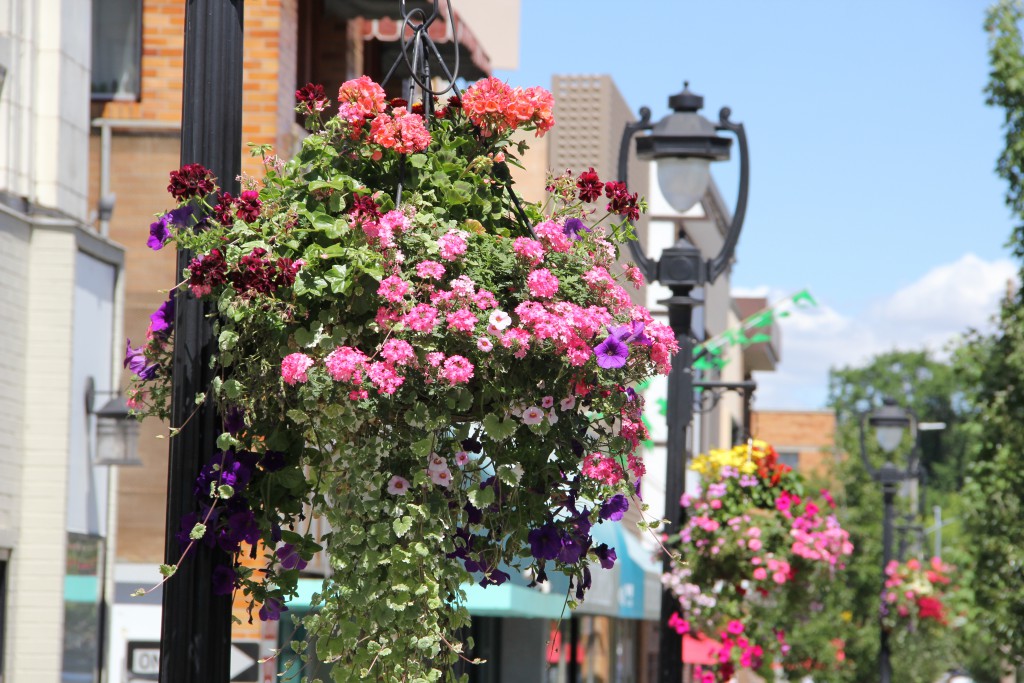 More than 300 flower baskets pop with color along many of the streets in Downtown Yakima.