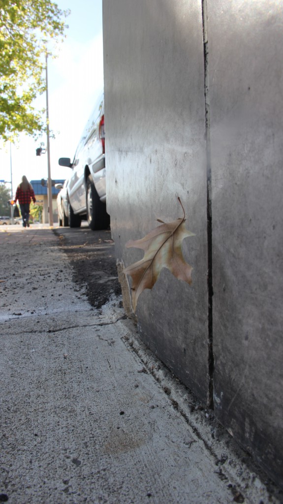 An autumn leaf slowly floats to the sidewalk on 2nd street as signs of fall start to show up around the Valley.