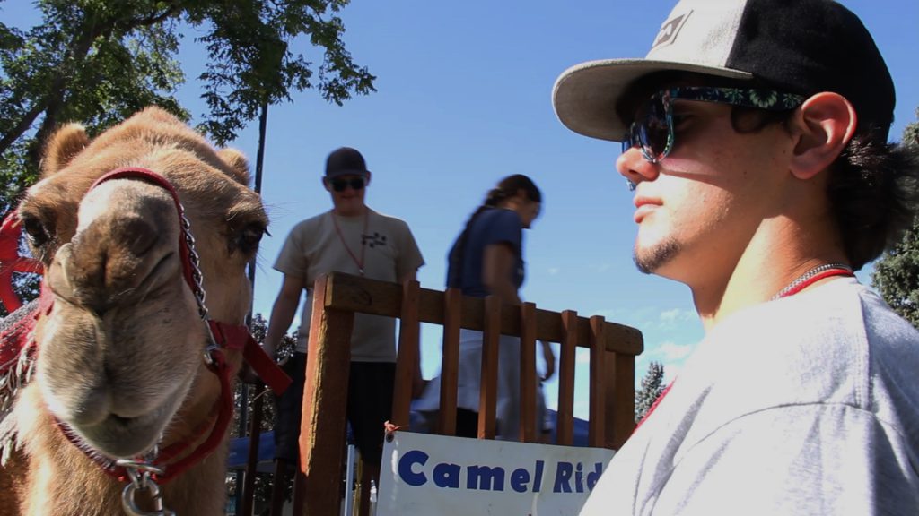 Eastwood T. Camel is not amused by the “Every day is hump day” joke from his handler at the 2016 Central Washington State Fair.