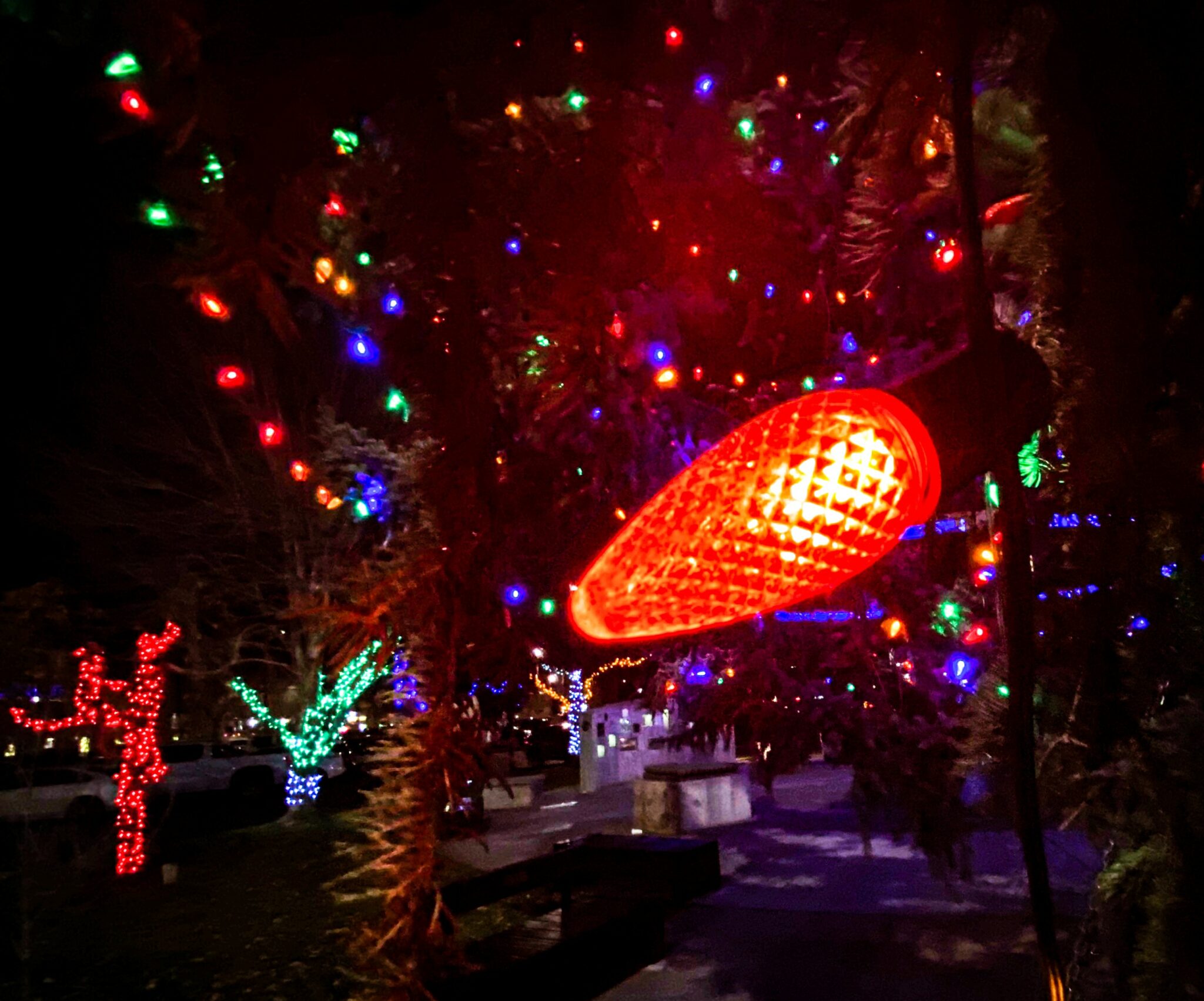 Christmas Lights Photo of the Week