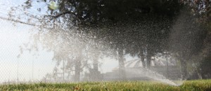 Irrigation begins April 3rd