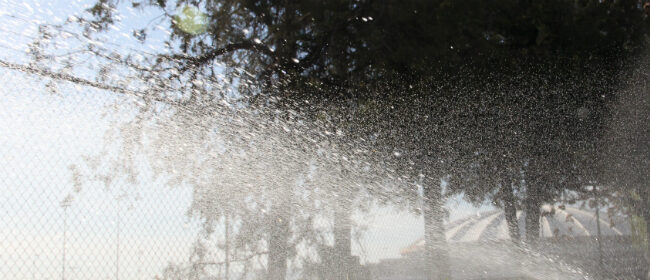 City Irrigation Season