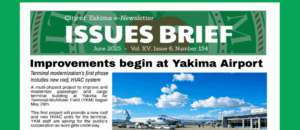 June 2025 Issues Brief