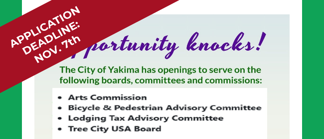 City Council Seeks Volunteers