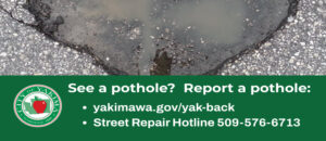 Reporting potholes