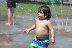 View Our Snapshot Gallery!