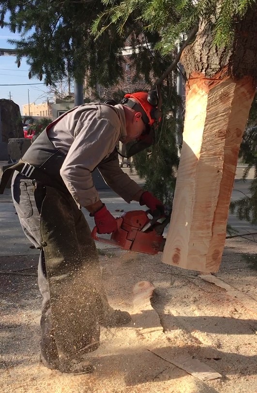 tree-trim