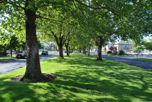 Naches Avenue