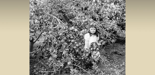 Girl in Orchard