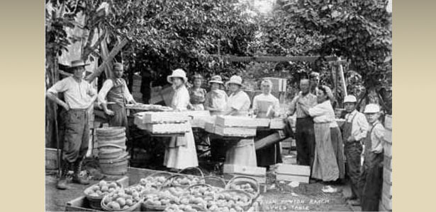 Historic Farming Photo